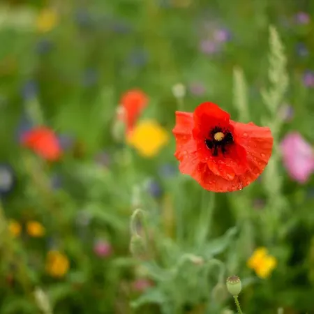 Hotel Kloster Frauenberg 3*