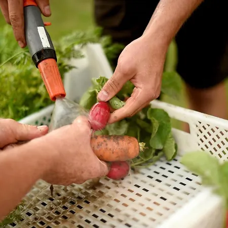 Hotel Kloster Frauenberg