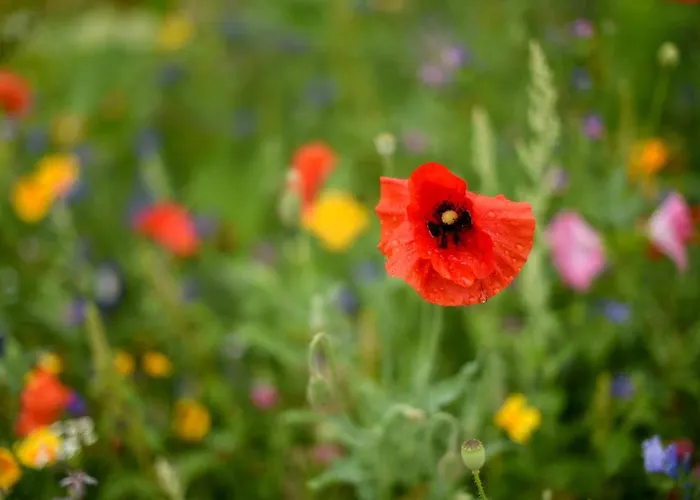 Hotel Kloster Frauenberg 3*