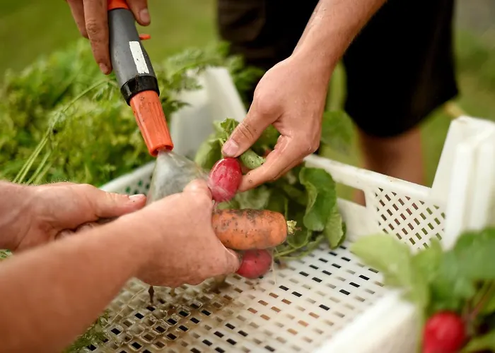 Hotel Kloster Frauenberg